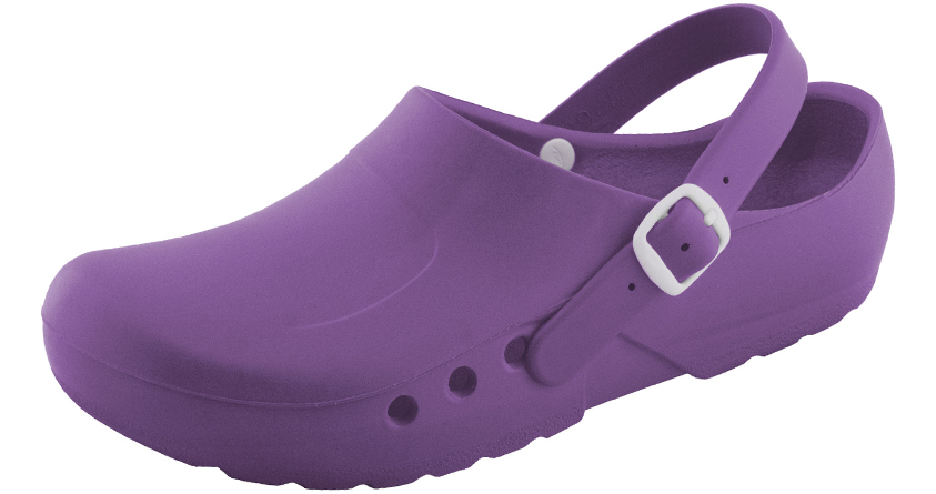 CHIROCLOG-ECONOMY-PURPLE-SCHURR.png